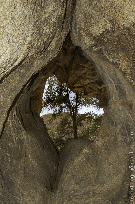 Joshua Tree National Park